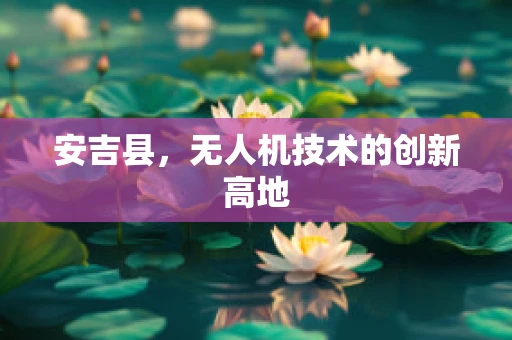 安吉县，无人机技术的创新高地