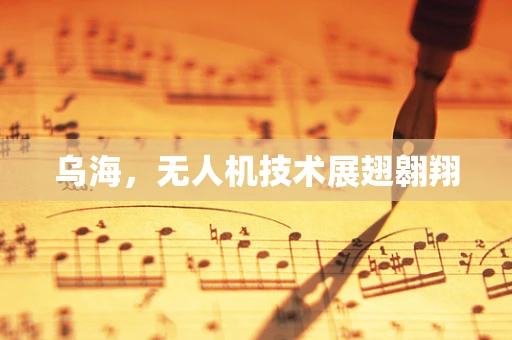 乌海，无人机技术展翅翱翔