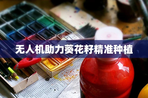 无人机助力葵花籽精准种植