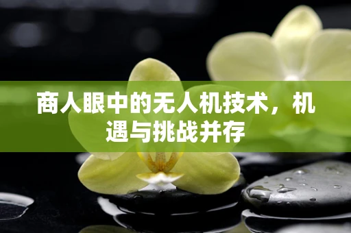 商人眼中的无人机技术，机遇与挑战并存