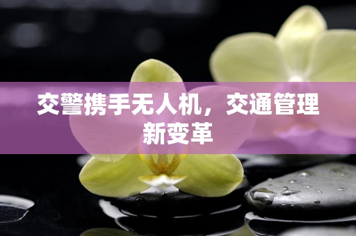 交警携手无人机，交通管理新变革