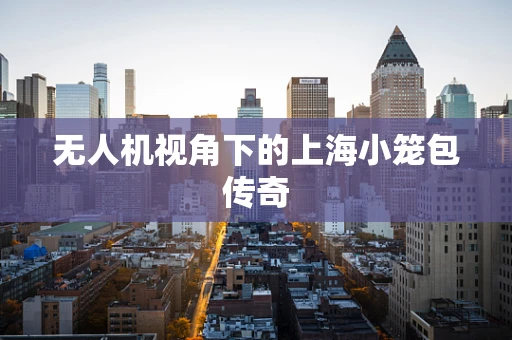 无人机视角下的上海小笼包传奇