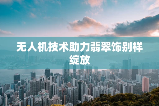 无人机技术助力翡翠饰别样绽放