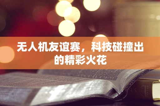 无人机友谊赛，科技碰撞出的精彩火花