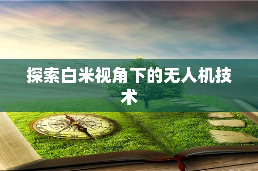 探索白米视角下的无人机技术