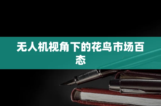 无人机视角下的花鸟市场百态