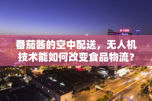 番茄酱的空中配送，无人机技术能如何改变食品物流？