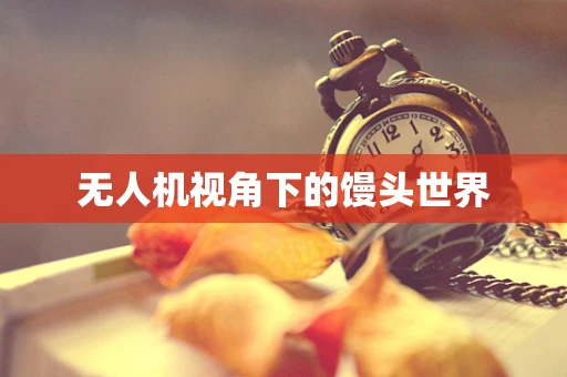 无人机视角下的馒头世界