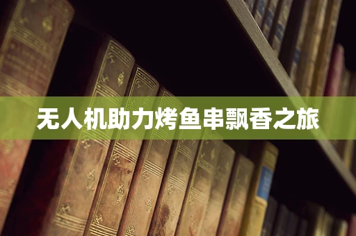 无人机助力烤鱼串飘香之旅