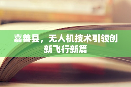 嘉善县，无人机技术引领创新飞行新篇