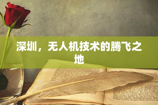 深圳，无人机技术的腾飞之地