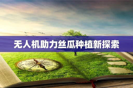 无人机助力丝瓜种植新探索