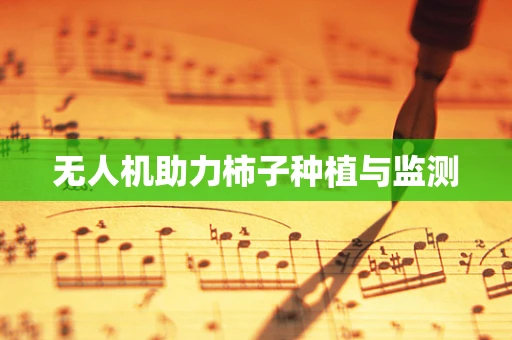 无人机助力柿子种植与监测