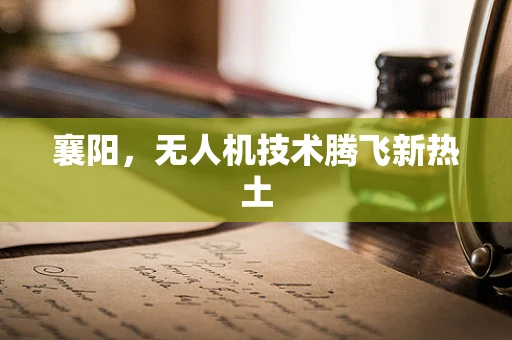 襄阳，无人机技术腾飞新热土