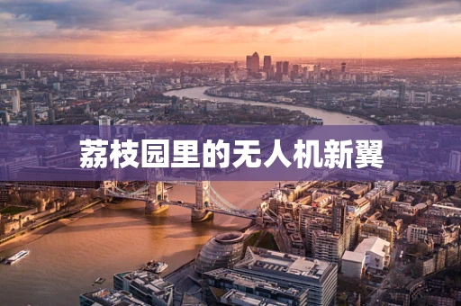 荔枝园里的无人机新翼