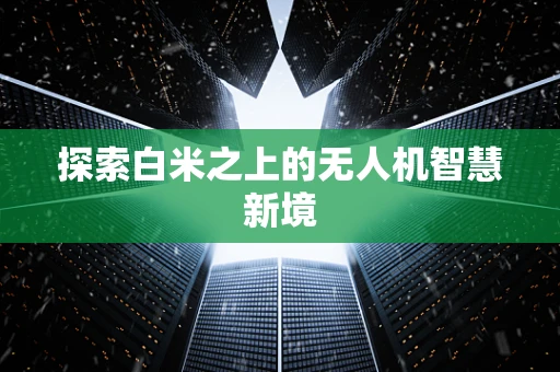 探索白米之上的无人机智慧新境