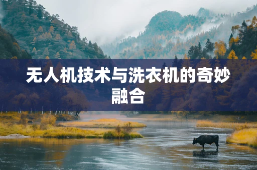 无人机技术与洗衣机的奇妙融合