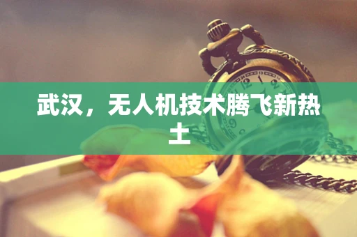 武汉，无人机技术腾飞新热土
