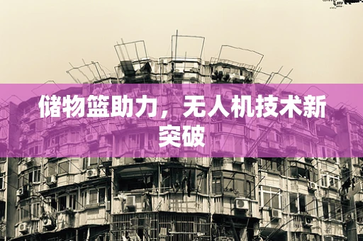 储物篮助力，无人机技术新突破