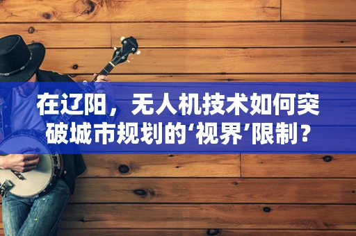 在辽阳，无人机技术如何突破城市规划的‘视界’限制？