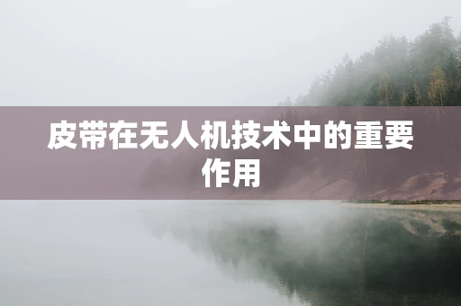 皮带在无人机技术中的重要作用