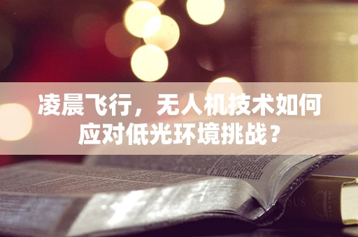 凌晨飞行，无人机技术如何应对低光环境挑战？