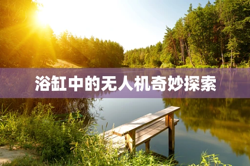 浴缸中的无人机奇妙探索