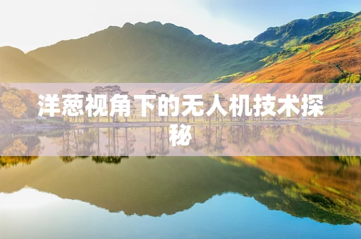 洋葱视角下的无人机技术探秘