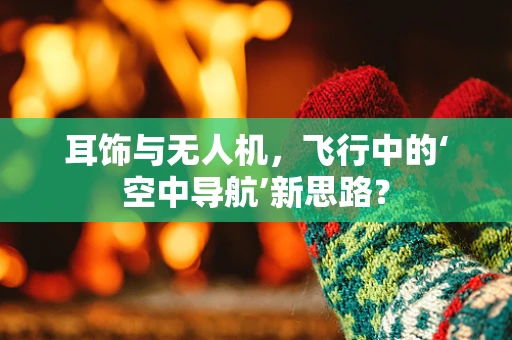 耳饰与无人机，飞行中的‘空中导航’新思路？