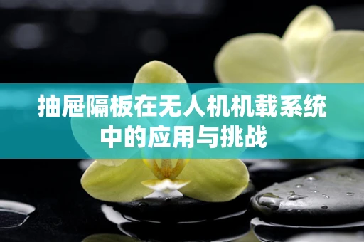 抽屉隔板在无人机机载系统中的应用与挑战