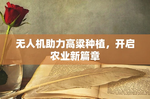 无人机助力高粱种植，开启农业新篇章