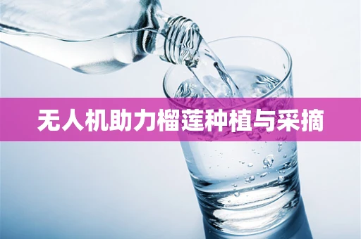 无人机助力榴莲种植与采摘