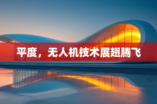 平度，无人机技术展翅腾飞