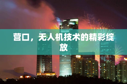 营口，无人机技术的精彩绽放