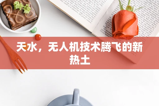 天水，无人机技术腾飞的新热土