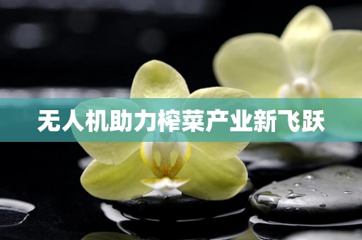 无人机助力榨菜产业新飞跃