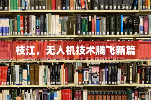 枝江，无人机技术腾飞新篇