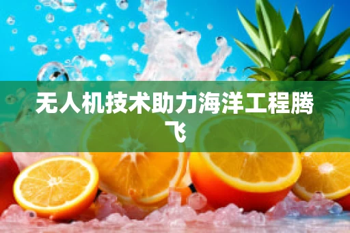 无人机技术助力海洋工程腾飞