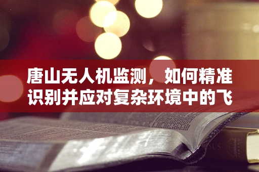 唐山无人机监测，如何精准识别并应对复杂环境中的飞行挑战？
