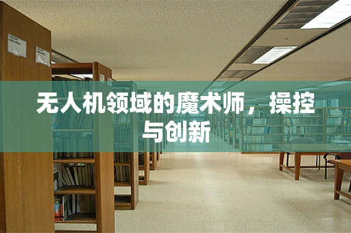 无人机领域的魔术师，操控与创新