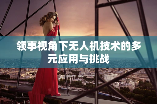 领事视角下无人机技术的多元应用与挑战