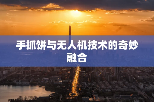 手抓饼与无人机技术的奇妙融合