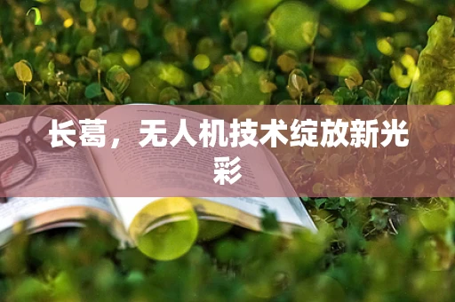 长葛，无人机技术绽放新光彩
