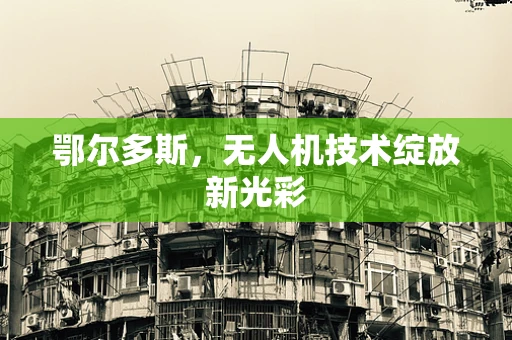 鄂尔多斯，无人机技术绽放新光彩