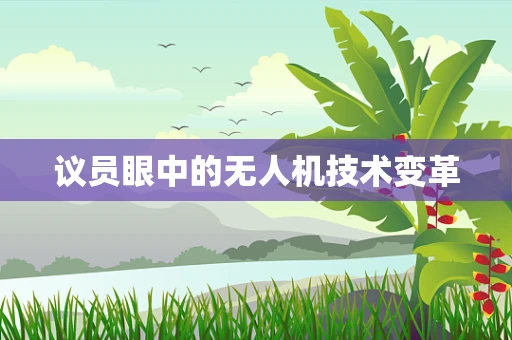 议员眼中的无人机技术变革