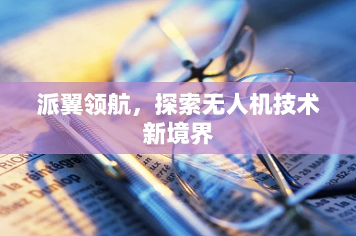 派翼领航，探索无人机技术新境界