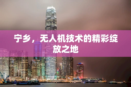 宁乡，无人机技术的精彩绽放之地