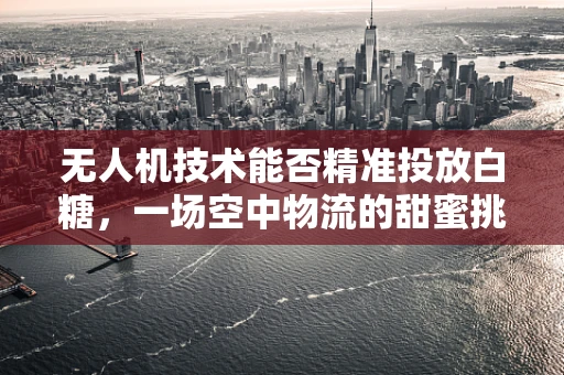 无人机技术能否精准投放白糖，一场空中物流的甜蜜挑战？