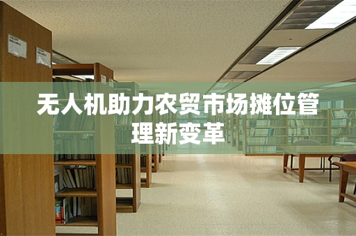 无人机助力农贸市场摊位管理新变革
