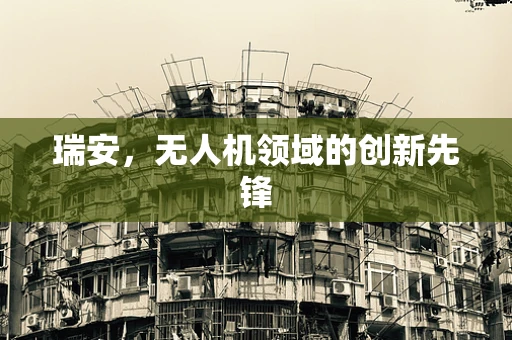 瑞安，无人机领域的创新先锋